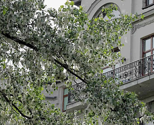  Супруги из Москвы рассказали, как получили штрафы из-за выхода на балкон