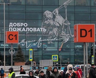  Полуголый мужчина устроил стриптиз со скандалом в аэропорту "Домодедово"