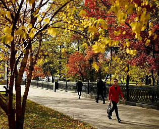  Синоптики предупредили о "тепловой аномалии" в Москве