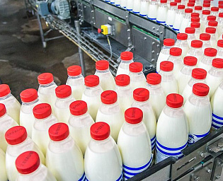  Резкого роста ждать не стоит: Эксперты о прогнозе по ценам на молоко и мясо