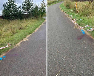  Жительницу Новой Москвы застрелили за прогулку с собакой без намордника