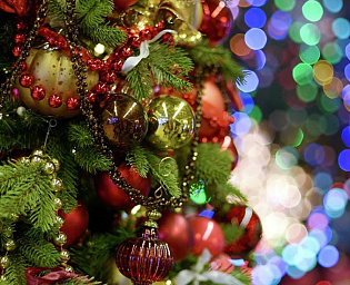  Что ждет жителей Подмосковья: Новый год в кругу семьи и блокировка студенческих карт