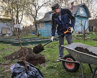  Контроль за использованием дачных участков может усилиться