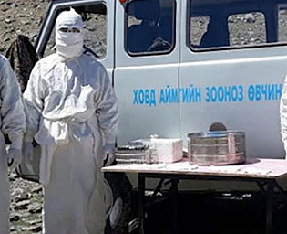  Оценена опасность вспышки бубонной чумы для России