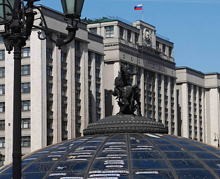  Госдума приняла законы о гражданстве чиновников