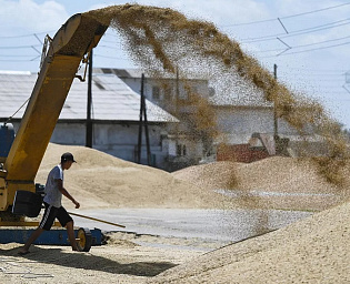  Россия безвозмездно поставит шести странам Африки до 50 тысяч тонн зерна