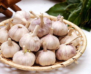 Чеснок в пандемию: лечит или калечит?