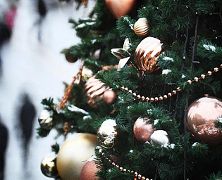  В Уфе мэрия поставит новогоднюю елку за 18,7 млн рублей, 1-комнатная квартира в центре от 2 млн