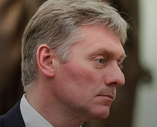  Песков: на угрозы «Мужского государства» должны реагировать правоохранительные органы