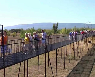  Тигр откусил годовалому ребенку палец в зоопарке "Тайган" в Крыму