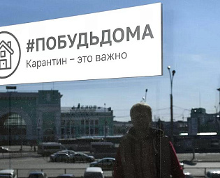  Опрос показал, чем россияне занимаются на самоизоляции