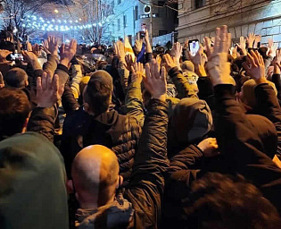  Митингующие в Грузии потребовали отставки правительства и назначения парламентских выборов       