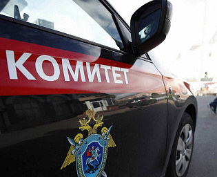  Подозреваемую в убийстве девочки в Вологде задержали